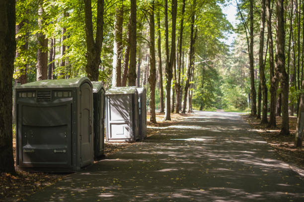 Best Local porta potty services  in Bellemont, AZ